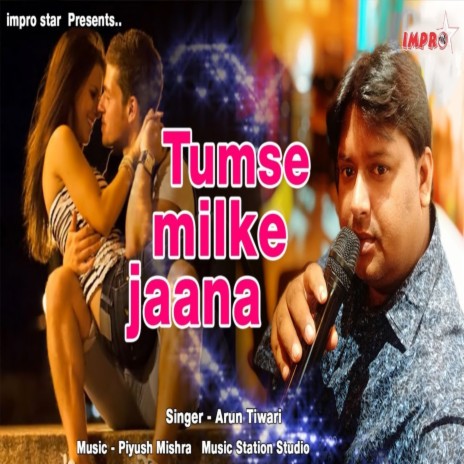 Tumse Milke Jana (Hindi Song) | Boomplay Music