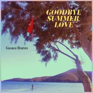 Goodbye Summer Love