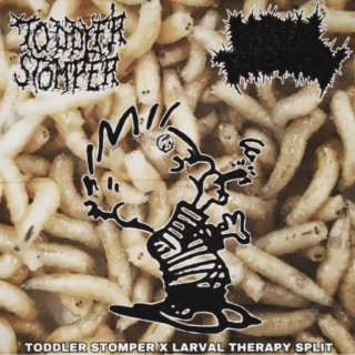 TODDLER STOMPER x LARVAL THERAPY