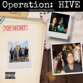 Operation: HIVE