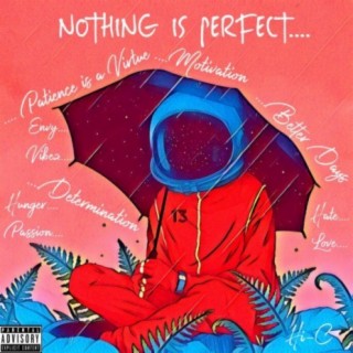 NOTHING IS PERFECT....