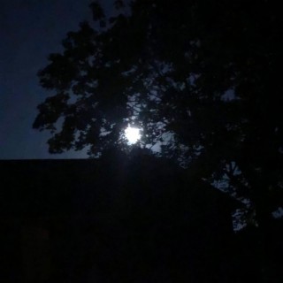Full Moon Sky