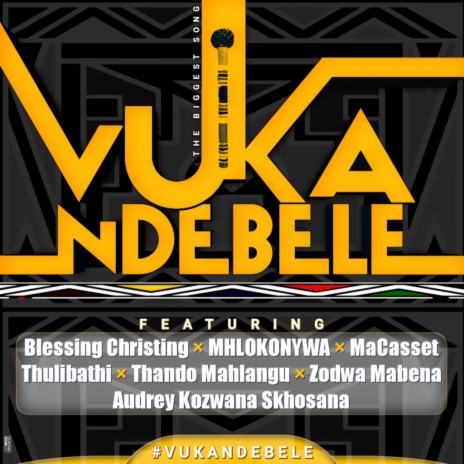 Vuka Ndebele ft. Mhlokonywa kaBungela, MaCassete, Zodwa Mabena, Thulibathi & MaCasset | Boomplay Music
