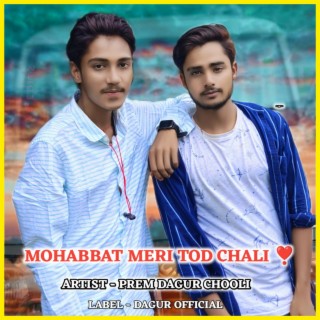 Mohabbat Meri Tod Chali