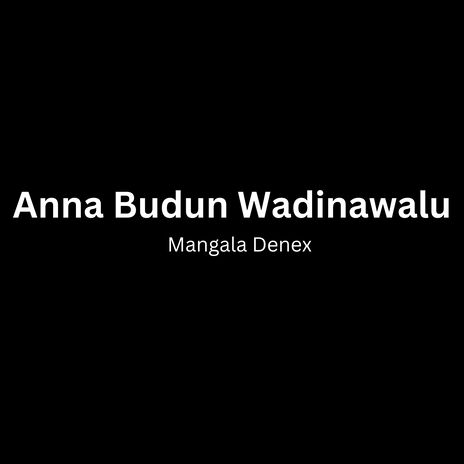 Anna Budun Wadinawalu | Boomplay Music