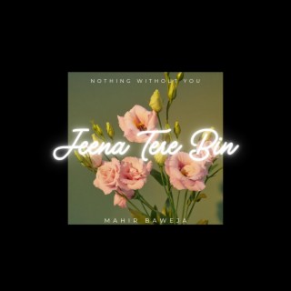 Jeena Tere Bin lyrics | Boomplay Music