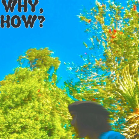 Why, How? | Boomplay Music