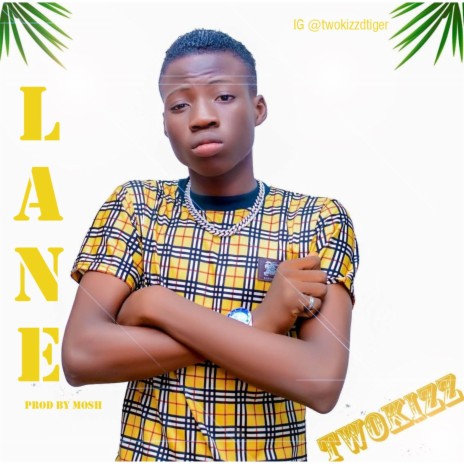 Lane | Boomplay Music
