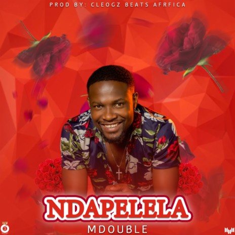 Ndapelela | Boomplay Music