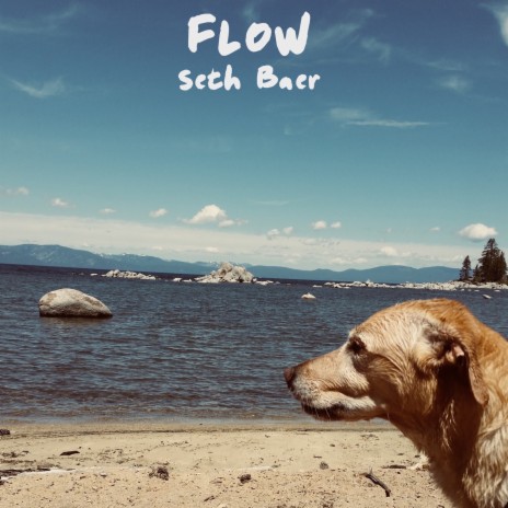 Flow | Boomplay Music