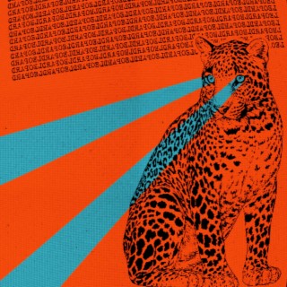 Leopard lyrics | Boomplay Music