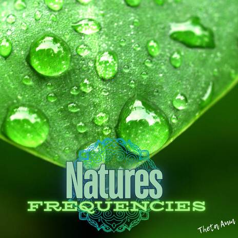 Plant Vibrations Infused with Solfeggio (Natural Healing) ft. Nature's Frequencies & Binaural Source | Boomplay Music