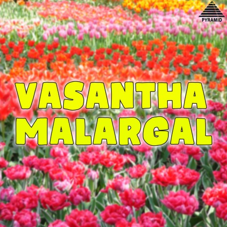 Ponn Malaiyal ft. Ravi & S. P. Balasubrahmanyam | Boomplay Music