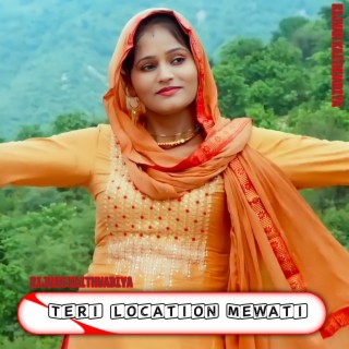 Teri Location Mewati