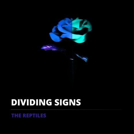 Dividing Signs (Radio Edit)
