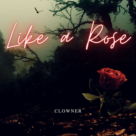 Like a Rose | Boomplay Music