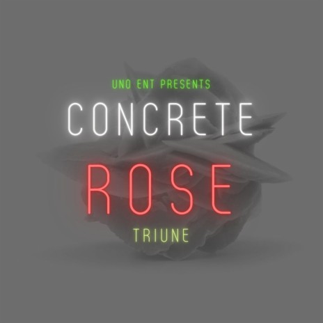 Concrete Rose | Boomplay Music