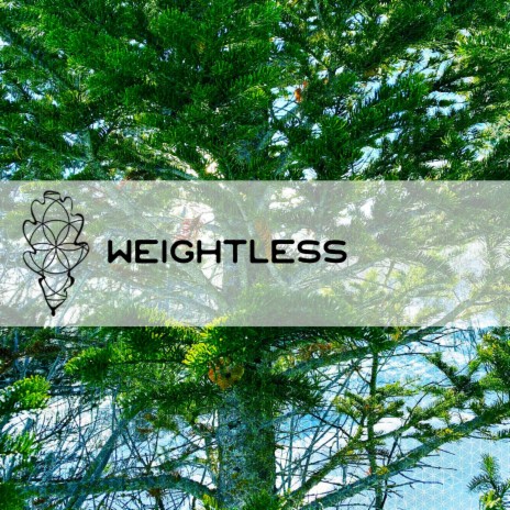 Weightless | Boomplay Music