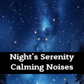 Night's Serenity: Calming Noises