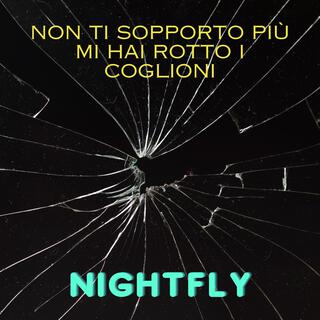 Non ti sopporto più mi hai rotto i coglioni