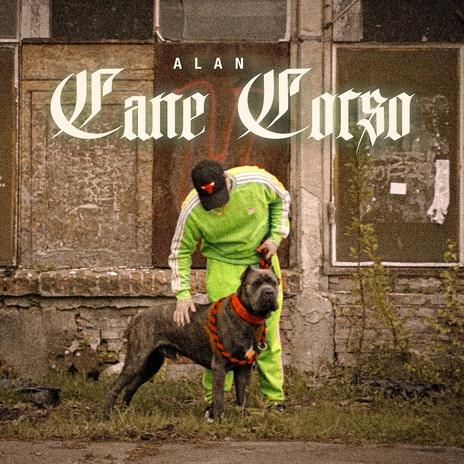 CANE CORSO | Boomplay Music