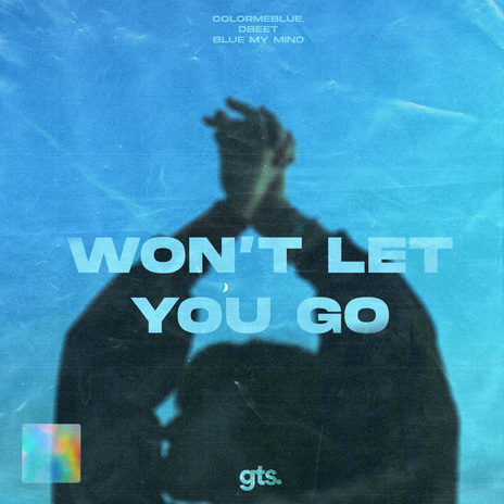 Won't Let You Go ft. colormeblue., blue my mind & Emma Castellino | Boomplay Music