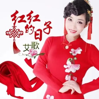 红红的日子（DJ何鹏版） lyrics | Boomplay Music