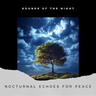 Nocturnal Echoes for Peace