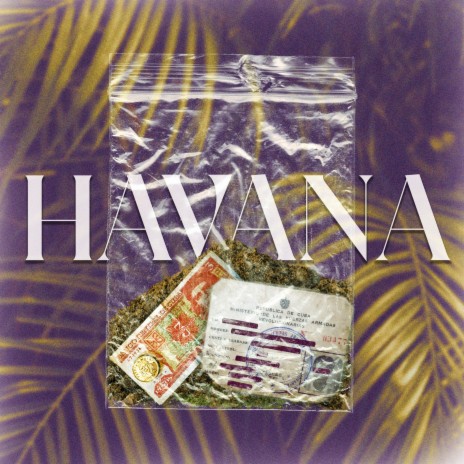 Havana ft. Hank & Moonet | Boomplay Music