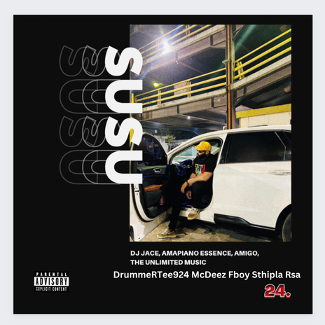 Susu ft. Sthipla rsa, DrummeRTee924, Mr Amigo, Mcdeez Fboy & Piano Essence | Boomplay Music