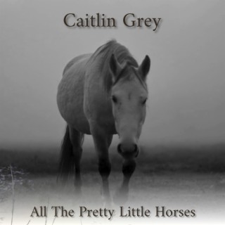 All The Pretty Little Horses