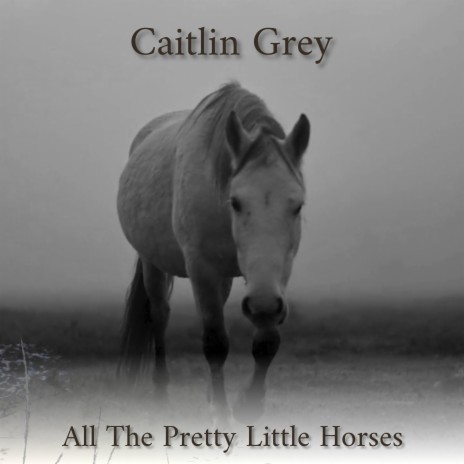 All The Pretty Little Horses | Boomplay Music