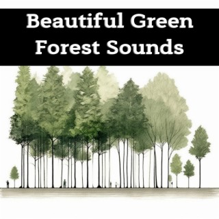 Beautiful Green Forest Sounds