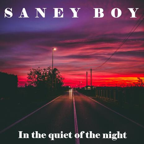 In The Quiet Of The Night | Boomplay Music