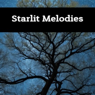 Starlit Melodies
