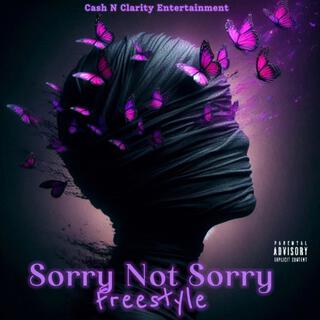 Sorry Not Sorry Freestyle