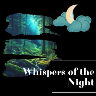 Whispers of the Night