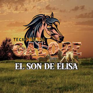 El Són De Elisa