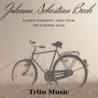 Sacred Harmony: Aria from the B Minor Mass