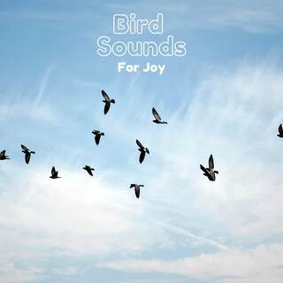 Bird Sounds For Joy