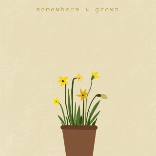 somewhere & grown