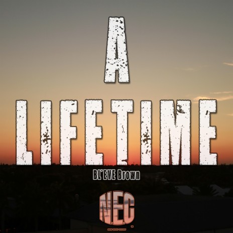 A Lifetime