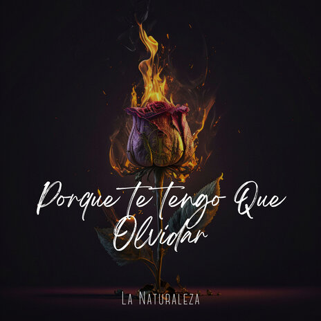 Porque Te Tengo Que Olvidar | Boomplay Music