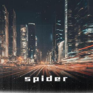 Spider