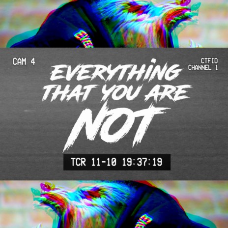 Everything That You Are Not ft. Weasel Sims & Nikeboi | Boomplay Music