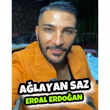 Ağlayan Saz Acıklı Erdal Erdoğan | Boomplay Music