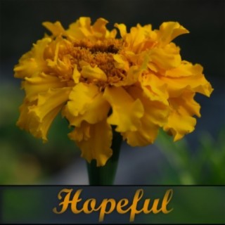 Hopeful lyrics | Boomplay Music