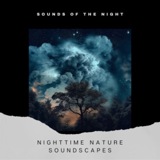 Nighttime Nature Soundscapes