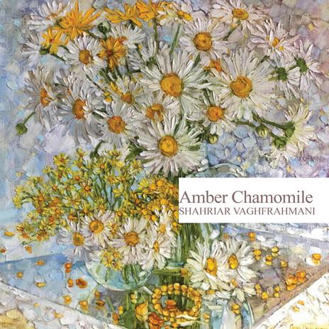 Ambre Chamomile