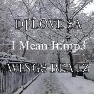 I mean it ft. Wings Beatz lyrics | Boomplay Music